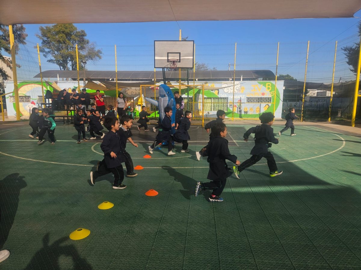 Semana de la Actividad Física 2026