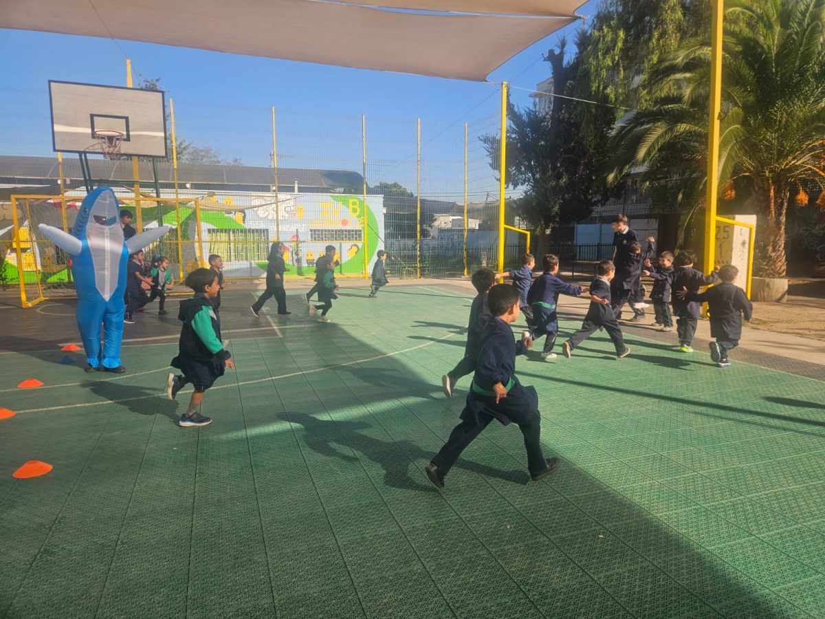 Semana de la Actividad Física 2026