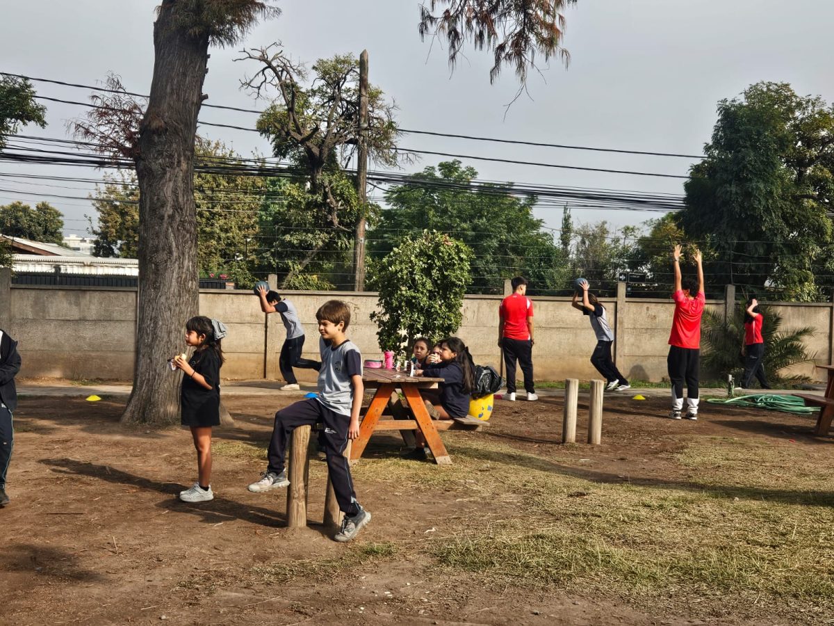 Semana de la Actividad Física 2026